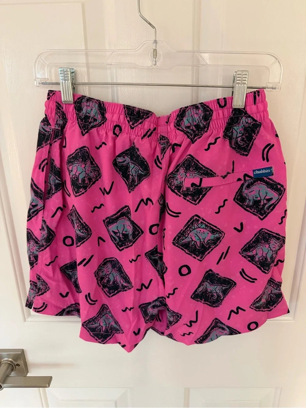 Chubbies The Raptor Trainers Classic Swim Trunks 5.5”